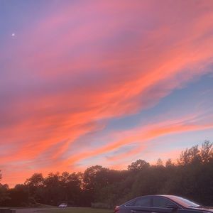 Meet your Posher, Abigail